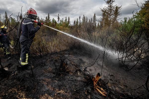 Firefighters from France soak the smouldering deep, soft, moss carpeting the floor of the old-growth Boreal forest as they battle wildfires in the region of Quebec, Canada.